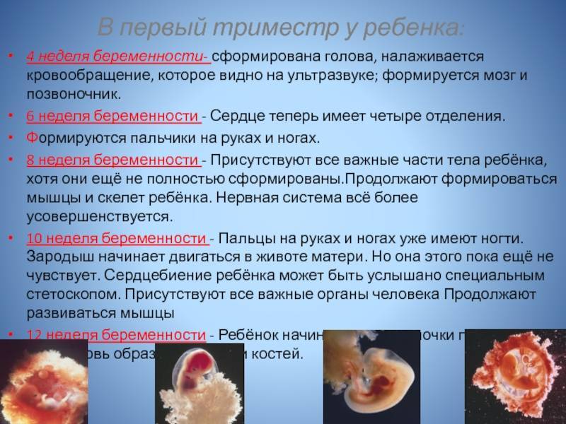 Первые дни после зачатия — ощущения