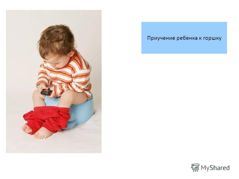 Как приучить ребёнка к горшку: 5 ошибок которые, нельзя совершать родителям!