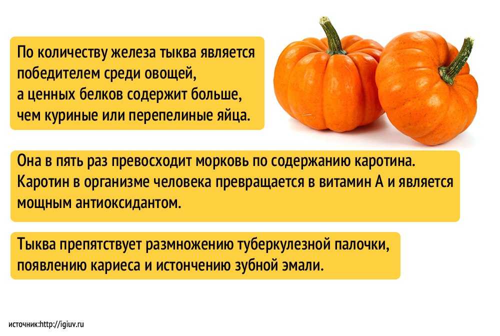 Можно ли тыкву при грудном вскармливании в первый месяц