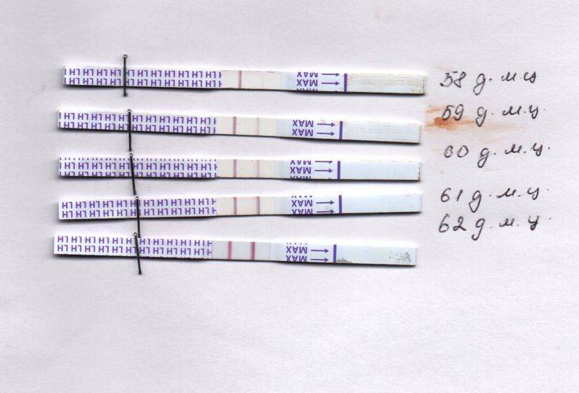 Когда делать тест на беременность? родильный дом leleka | блог | медиацентр