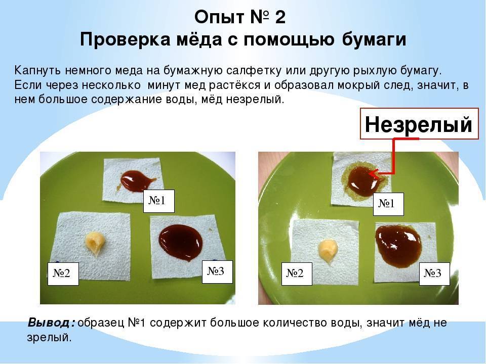 10 способов проверить натуральный мед или нет :: инфониак
