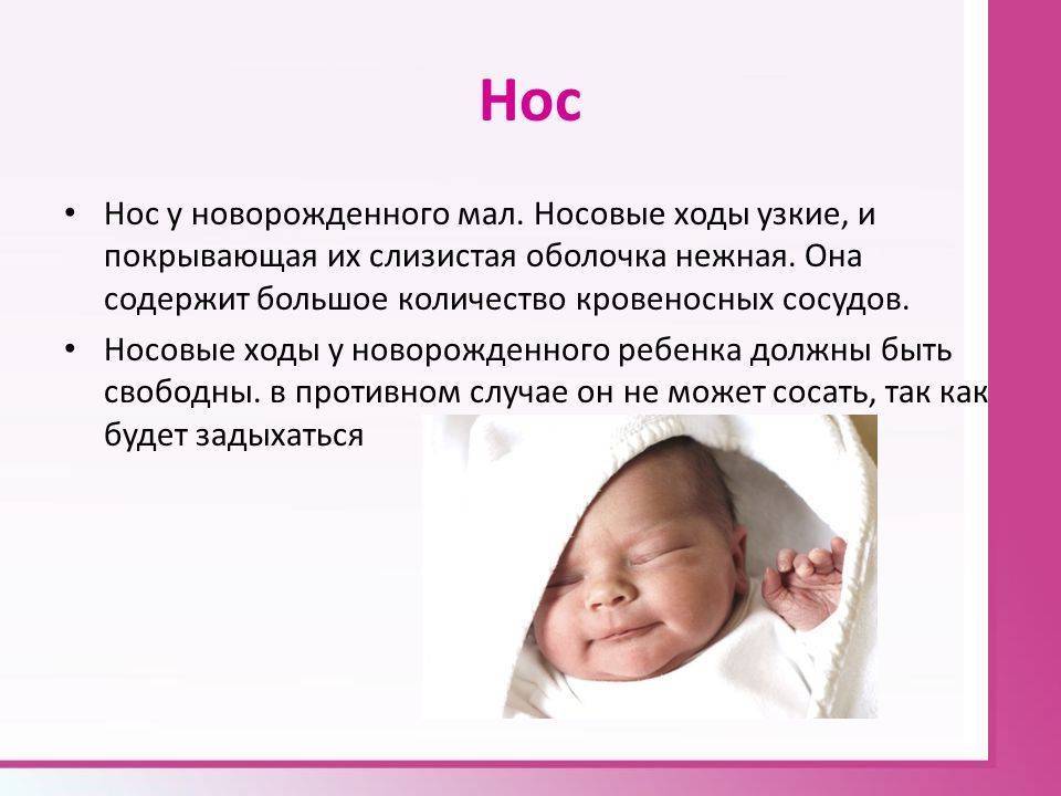 Почему новорожденный хрипит. Узкие носовые ходы у новорожденного. Носовые проходы у новорожденного. Узкие носовые ходы у грудничка. Новорожденный для презентации.