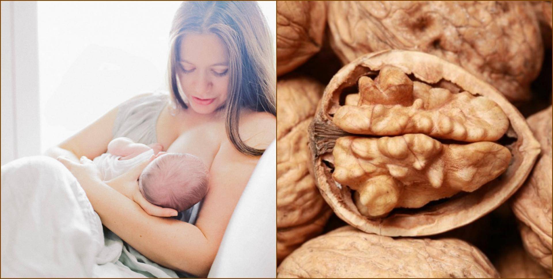 Грецкие орехи при грудном вскармливании для жирности молока: можно ли есть в первый месяц после родов, сколько кушать и польза для кормящей мамы и новорожденного