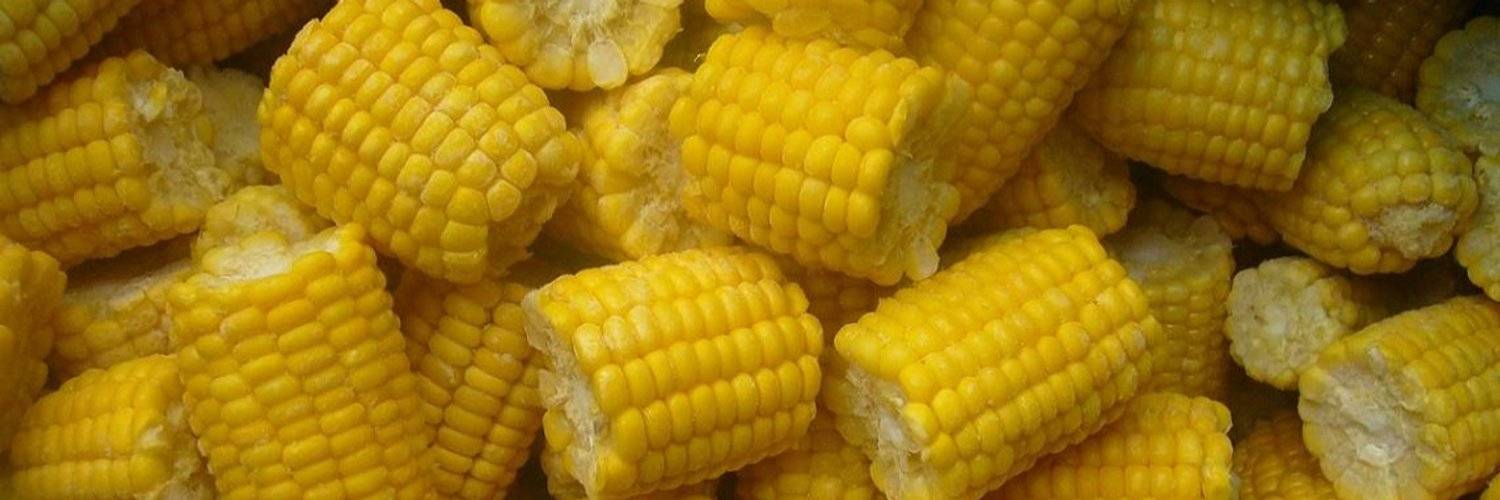 Можно ли кушать беременным вареную кукурузу
