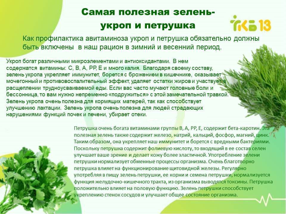 Можно ли ребенку петрушку - radetel.ru