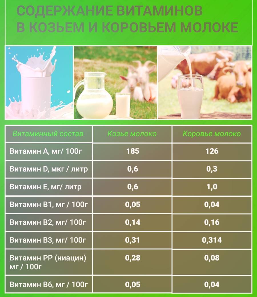 Какой состав молока коровьего. Козье молоко. Состав козьего молока. Коровье молоко. Козье молоко калорийность.