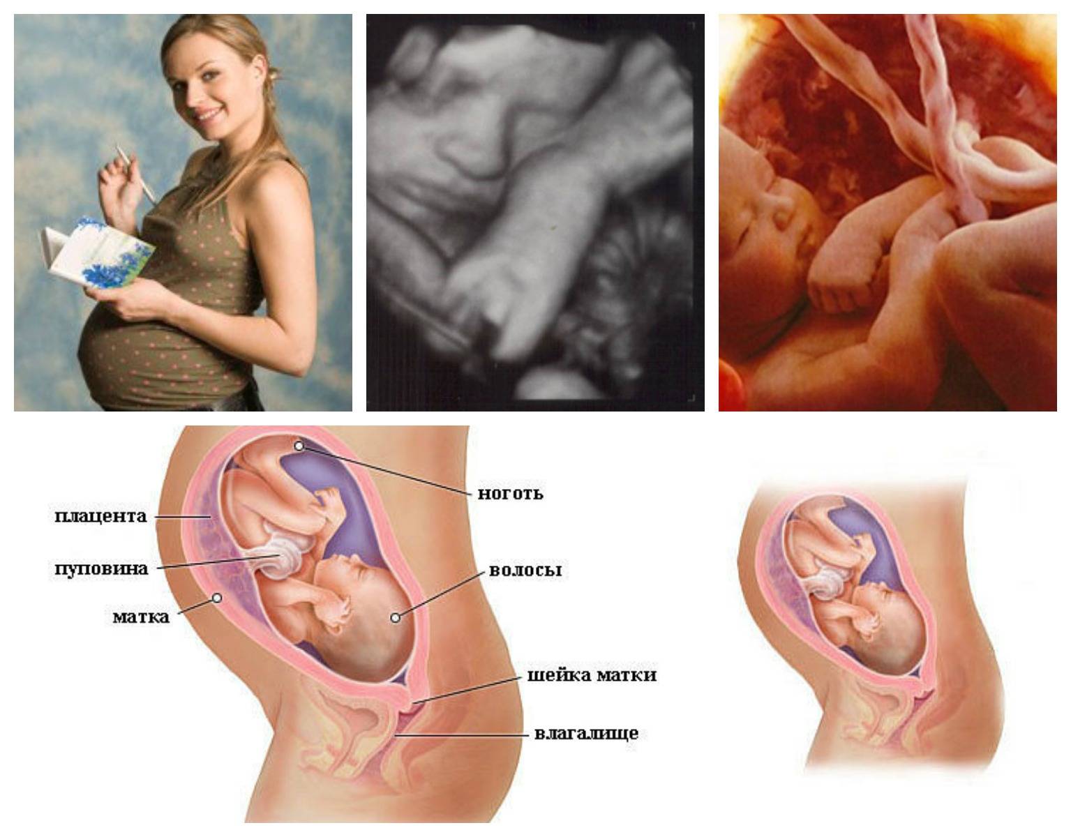 32 неделя беременности – живот, развитие плода, роды, вес ребенка, это сколько месяцев