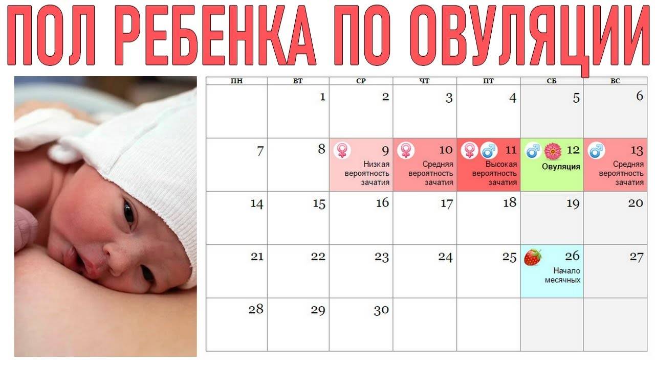 Как зачать девочку 100 процентов по овуляции и не только