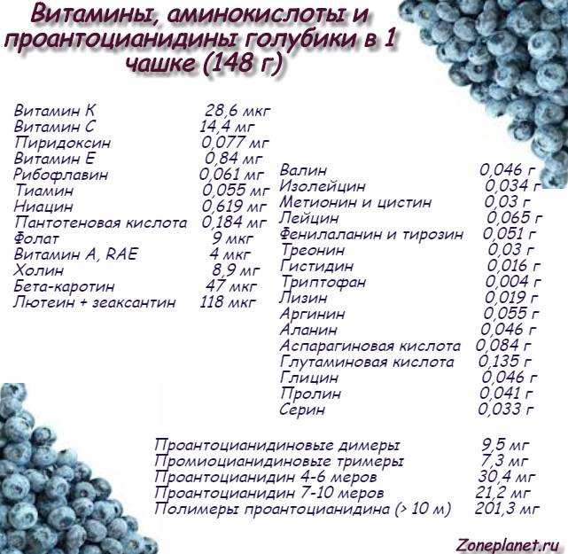 Черника при беременности: полезные свойства / mama66.ru