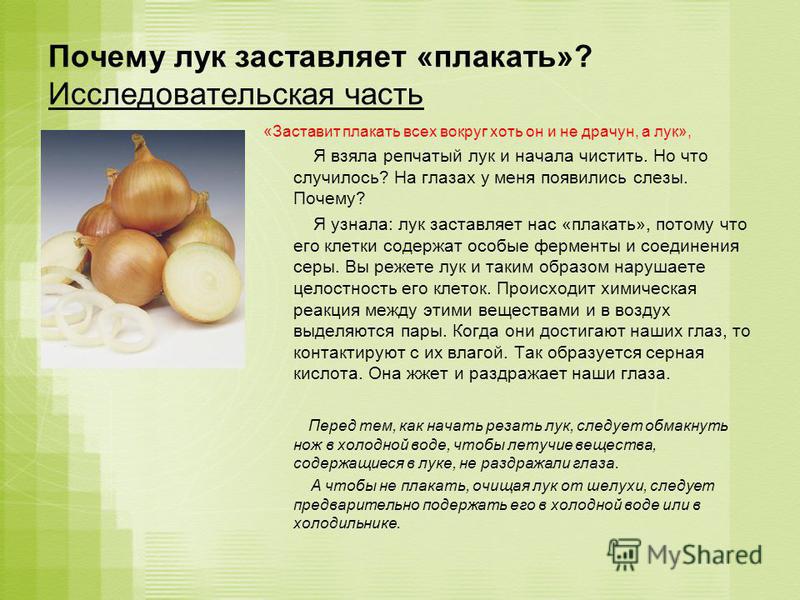 Репчатый лук для детей: как извлечь максимум пользы. с какого возраста можно давать? - onwomen.ru