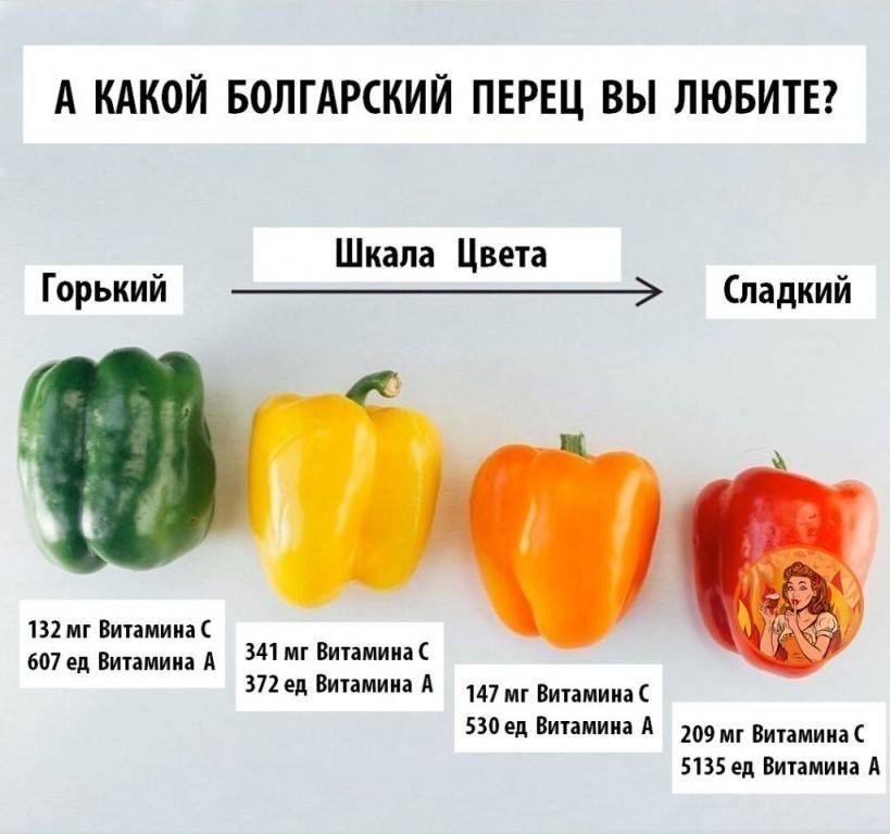 Болгарский перец для детей: польза и вред