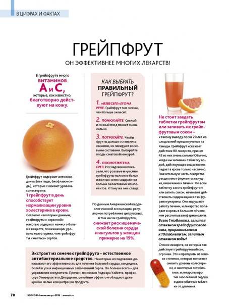 Можно ли грейпфрут при беременности и чем полезен цитрус для будущей мамы