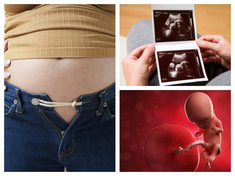 12 недель | клиника ведения беременности в пятигорске