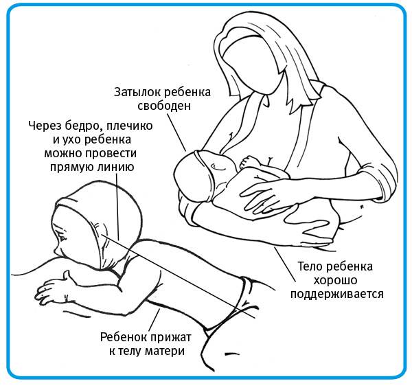 Как маме правильно кормить грудным молоком новорожденного