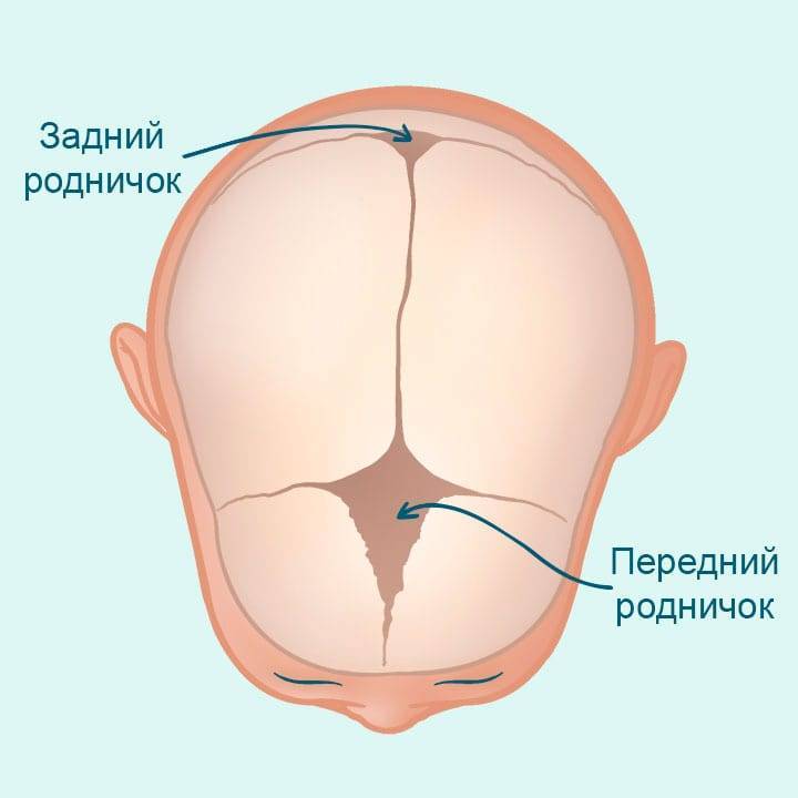 Почему пульсирует родничок