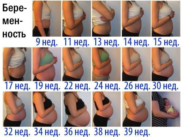 Беременность: когда начинает расти живот? на каком месяце беременности виден живот? :: syl.ru