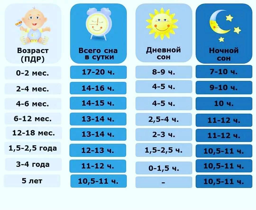 Расписание периодов дневного и ночного отдыха у ребенка до года
