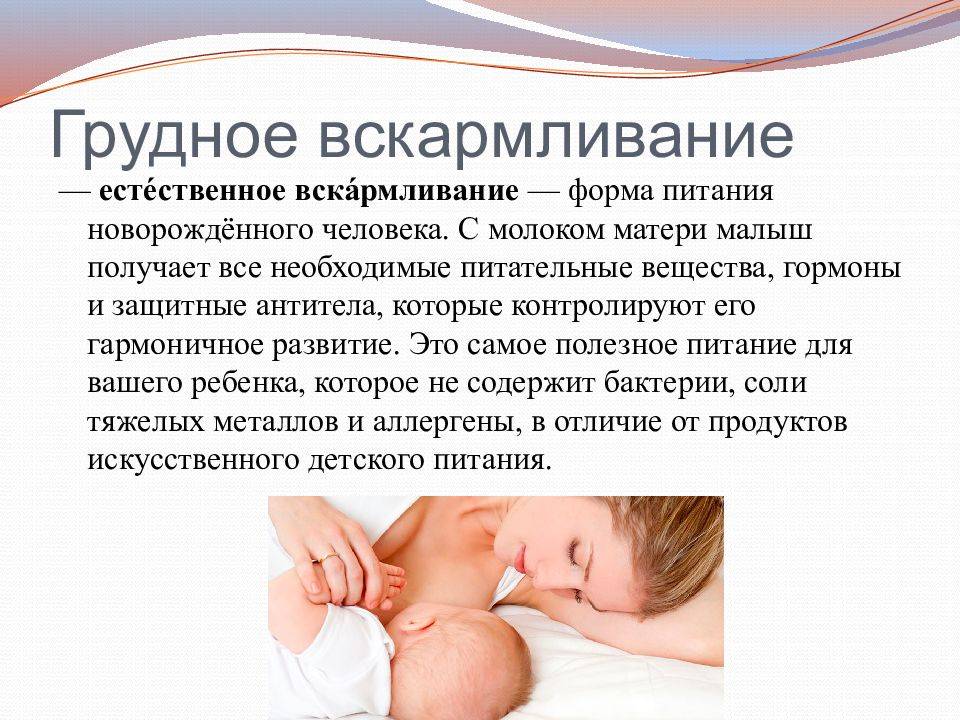 Грудное вскармливание: польза для новорожденного, правила и ограничения лактации