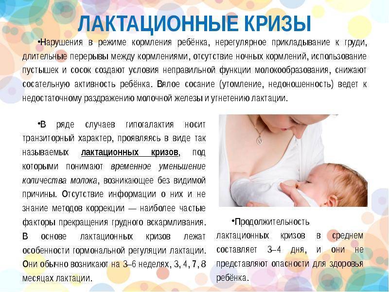 Что делать если ребенок постоянно требует грудь