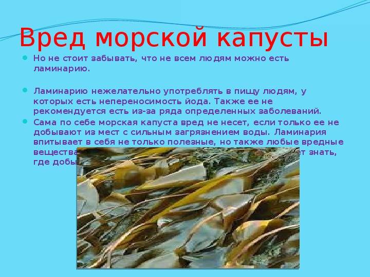 Морская капуста для беременных польза и вред