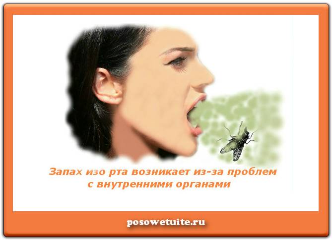 Запах изо рта, причины и лечение сильного неприятного запаха изо рта