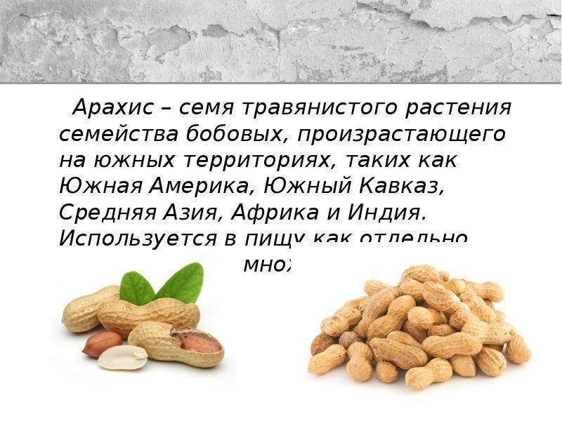 Может ли арахис. Арахис презентация. Арахис характеристика. Полезные вещества в арахисе. Арахис семейство бобовых.
