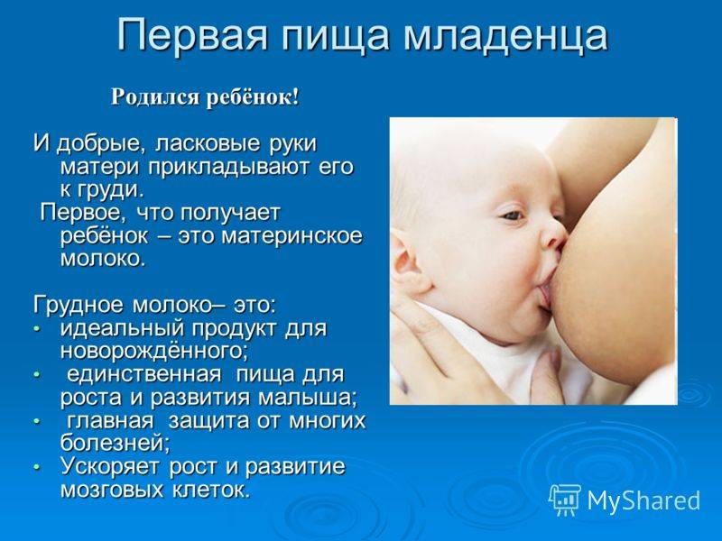 Как долго кормить ребенка грудью: личный опыт мнение доктора комаровского о грудном вскармливании плюсы и минусы последствия важность необходимость