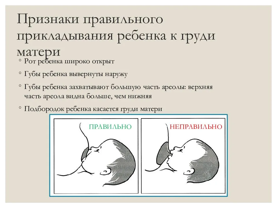 Как правильно прикладывать ребенка для кормления к груди при грудном вскармливании лежа и сидя (техника, правила)