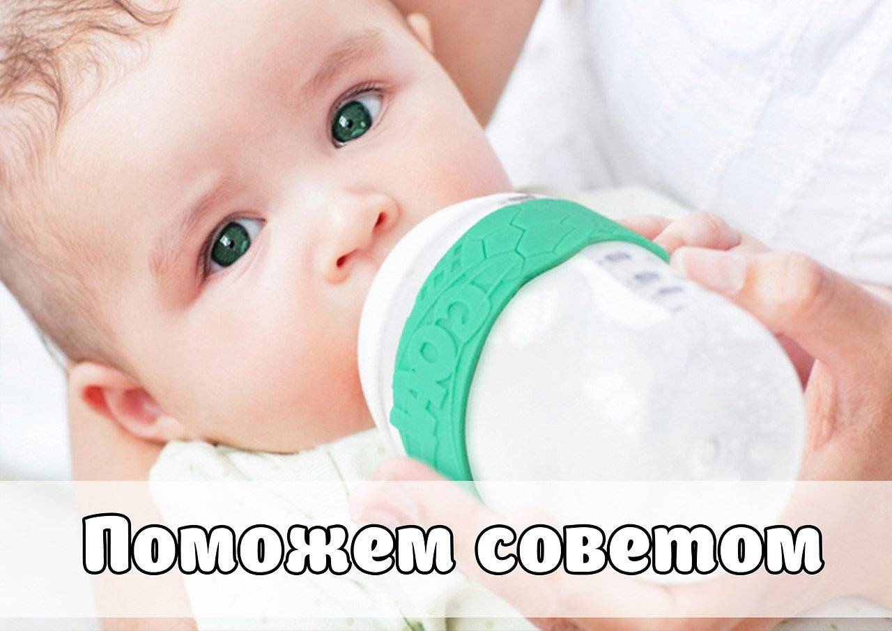 Как отучить собаку есть снег: простые способы сберечь здоровье питомца