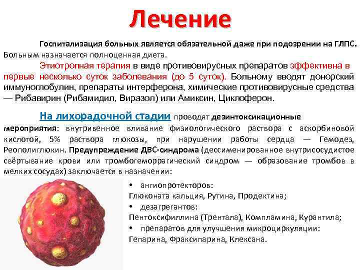 Геморрагическая лихорадка: с почечным синдромом, симптомы, вирус | kvd9spb.ru