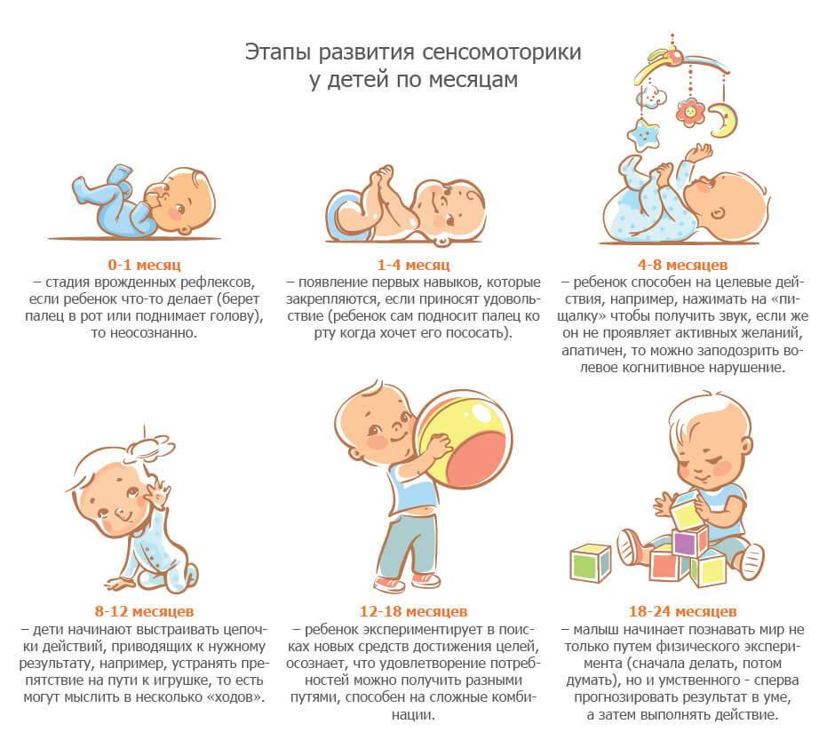 Что должен уметь ребенок в 1 год и 6 месяцев: особенности и нормы развития