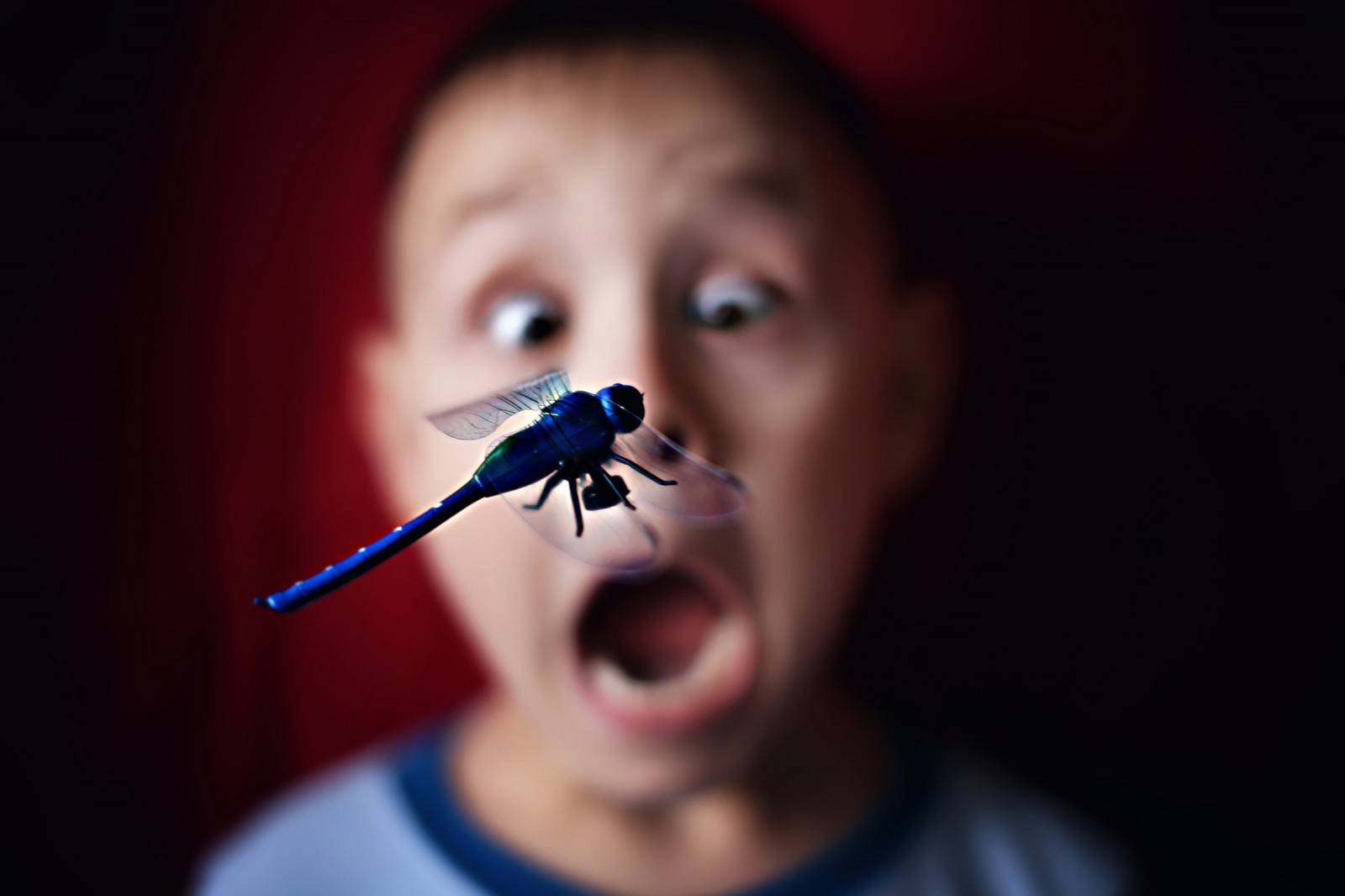 Ребенок боится мух: как ему помочь? что делать, если ребенок боится насекомых. боязнь насекомых у ребенка