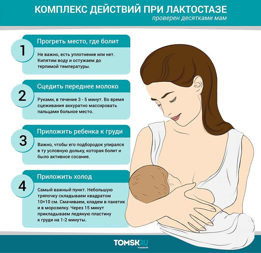 Как подготовить грудь к кормлению ребенка: во время беременности и при лактации