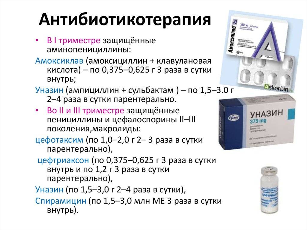 Лекарственный препарат амоксициллин+клавулановая кислота экспресс, инструкция по применению