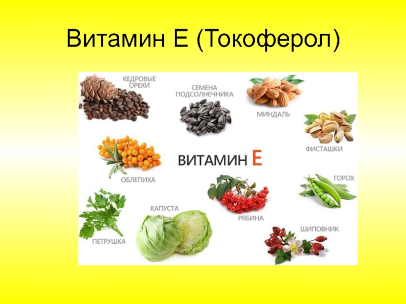 Витамин е польза, препараты, в каких продуктах содержится