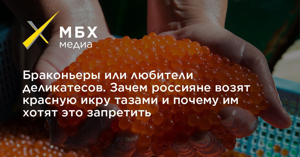 Икра щуки: польза и вред, полезные свойства для организма человека и противопоказания