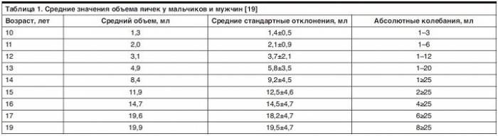От чего зависит размер мужских яичек: ка определить и где норма?
