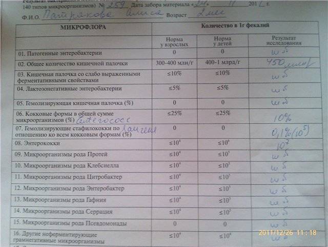Энтерококки (enterococcus): разновидности, свойства, заболевания