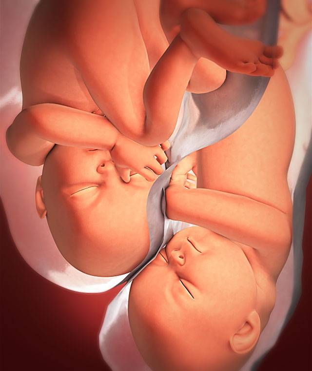40 неделя беременности: что происходит с малышом и мамой. состояние женщины. признаки родов - spuzom.com