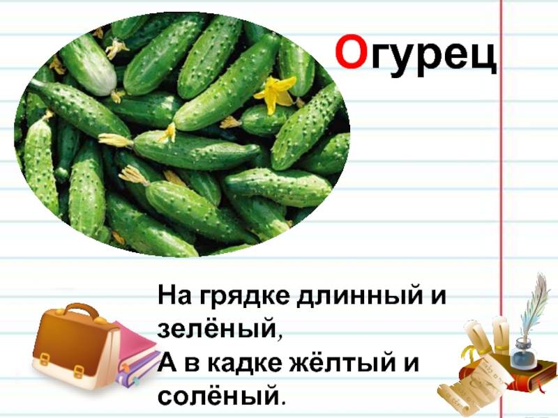 Свежий огурец со скольки месяцев