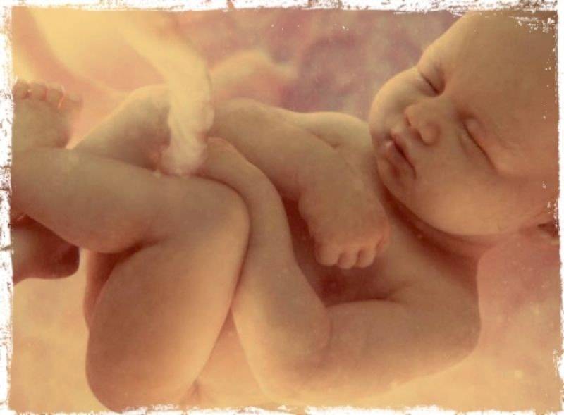 37 неделя беременности развитие и фото — евромедклиник 24