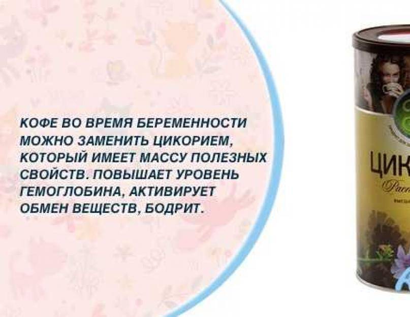Цикорий при беременности. цикорий при беременности - противопоказания :: syl.ru