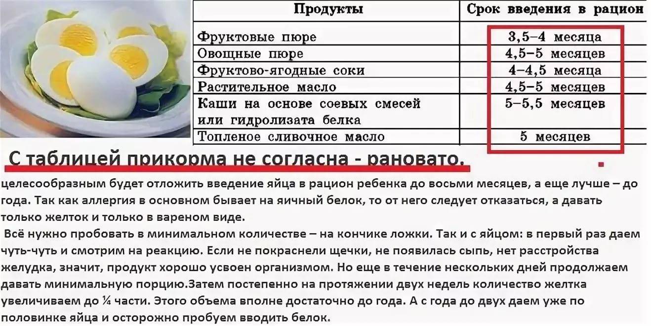 С какого возраста можно давать ребенку яйцо -
