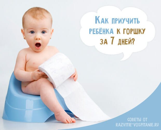 Как приучить малыша к горшку: пошаговый план на основе личного опыта!