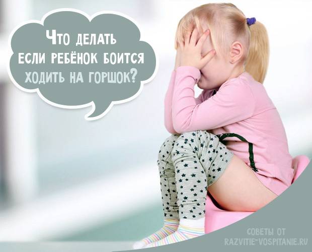 Что, если ребенок боится какать (ходить в туалет по-большому) и писать? | rucheyok.ru