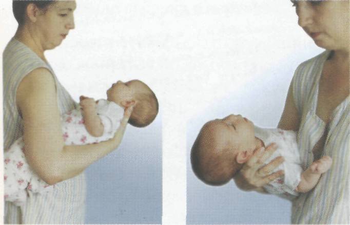 Как правильно держать голову. Поза столбиком новорожденного. Позиция столбиком для новорожденных. Позы для ношения новорожденного. Поза столбиком новорожденного после кормления.