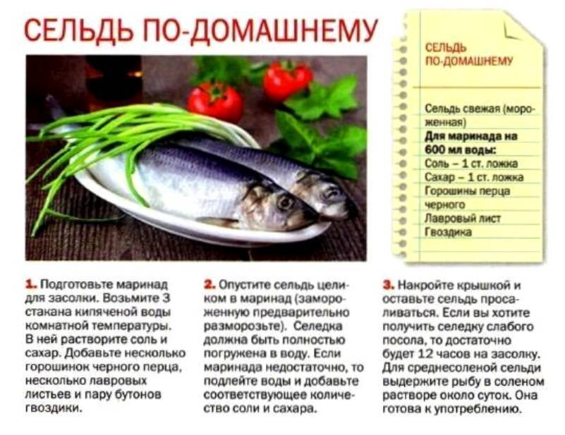 Можно ли соленую рыбу при грудном вскармливании - мамины новости