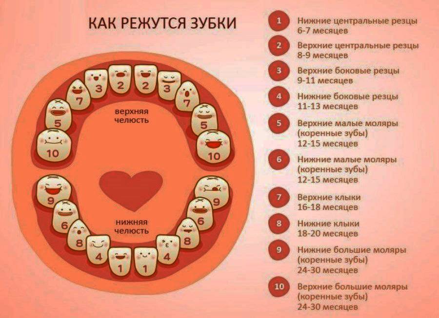 Народные средства помощи в период прорезывания зубов