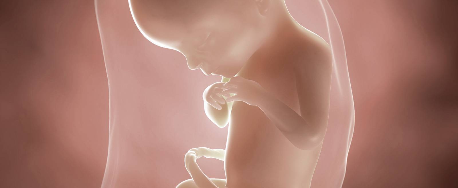 19 неделя беременности: что происходит с мамой, развитие ребенка