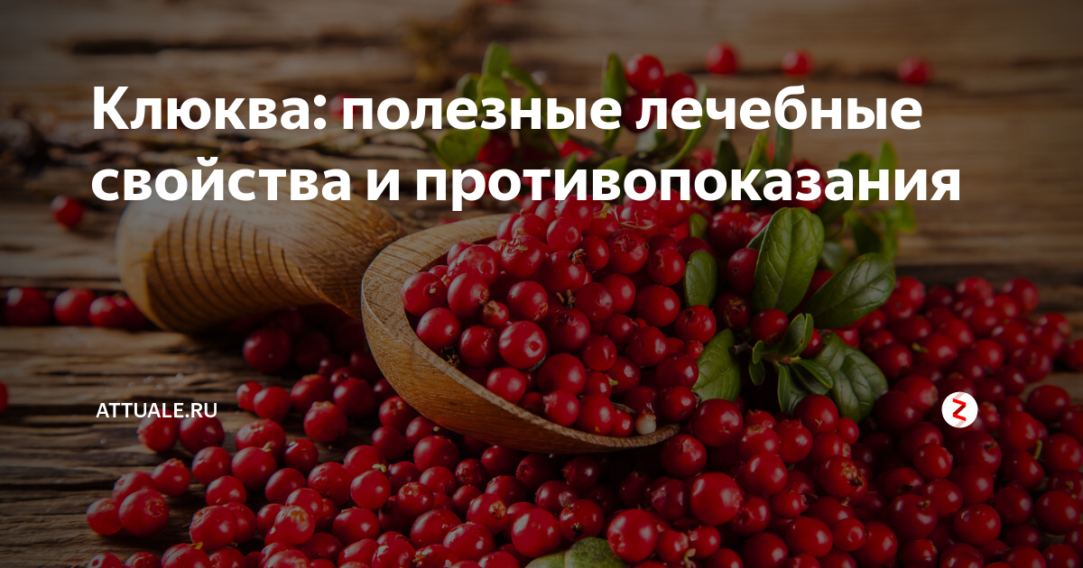 Клюква при грудном вскармливании: можно ли есть эту ягоду при гв, когда разрешено вводить её в рацион мамы и ребенка и как это правильно сделать?